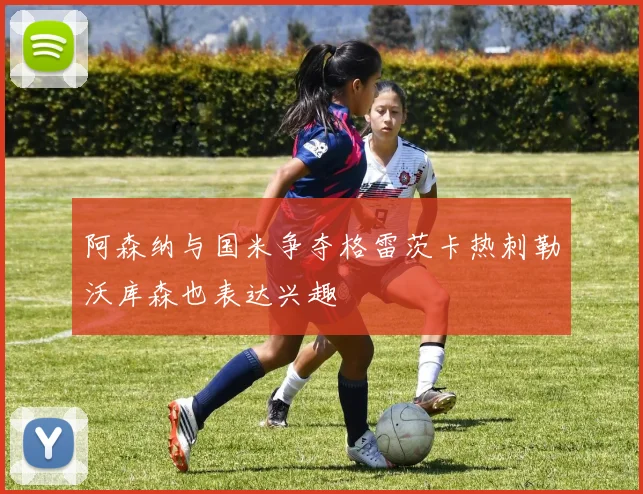 阿森纳与国米争夺格雷茨卡热刺勒沃库森也表达兴趣